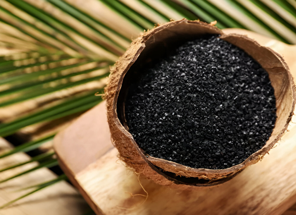 coconut-filtre-3